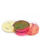 Kits microbiologie